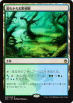 マジックザギャザリング MTG A25 JP 239 溢れかえる果樹園(日本語版レア)【新品】