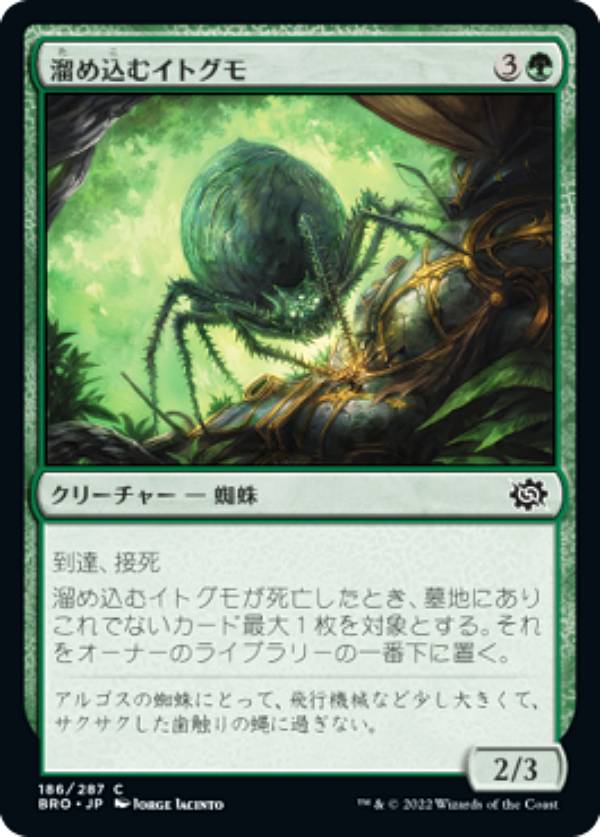 マジックザギャザリング BRO JP 186 溜め込むイトグモ (日本語版 コモン) 兄弟戦争