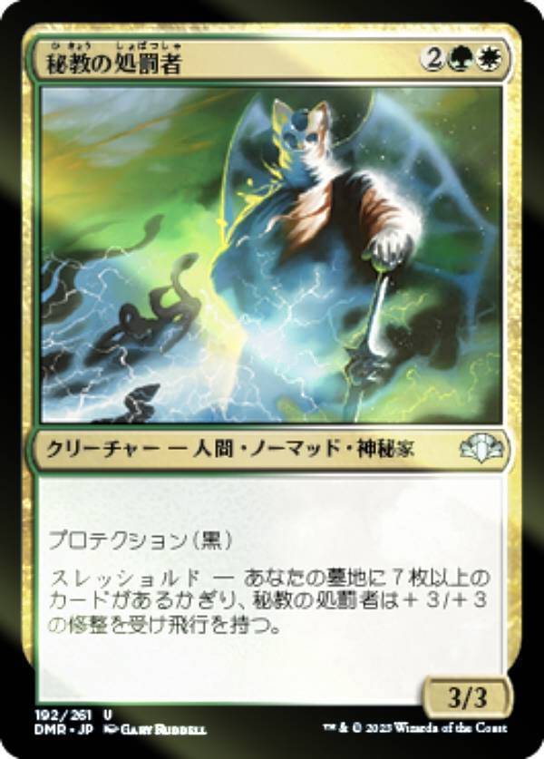 ��FOIL�ۥޥ��å������㥶��� DMR JP 192 �붵�ν�ȳ�� (���ܸ��� ���󥳥��) �ɥߥʥꥢ����ޥ�����