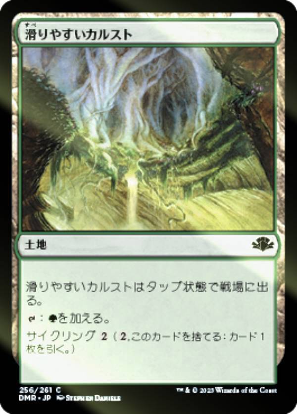 ��FOIL�ۥޥ��å������㥶��� DMR JP 256 ���䤹�����륹�� (���ܸ��� �����) �ɥߥʥꥢ����ޥ�����