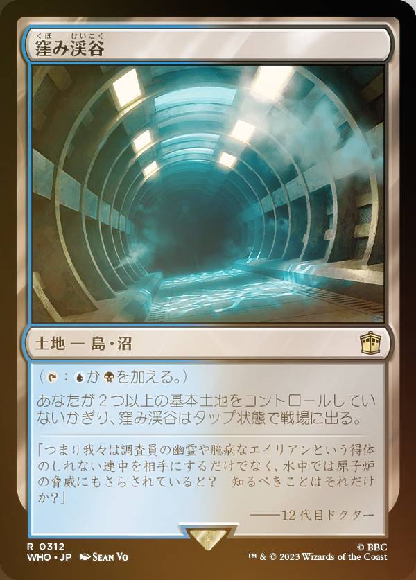 【FOIL】マジックザギャザリング WHO JP 0312 窪み渓谷 (日本語版 レア) ドクター・フー MTG