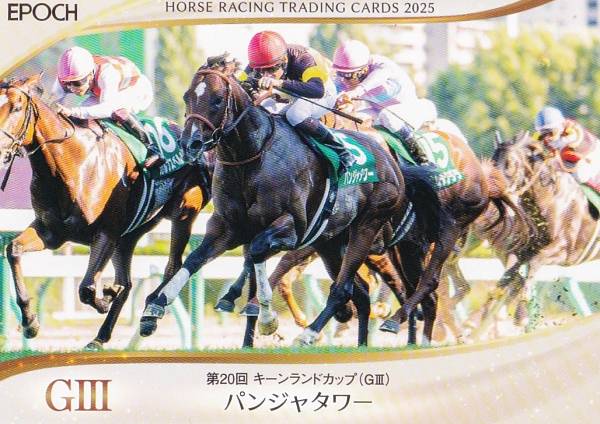 ホースレーシング トレーディングカード 75 パンジャタワー (レギュラーカード/2025年下半期重賞優勝馬/キーンランドC) エポック 〜2025下半期総集編〜