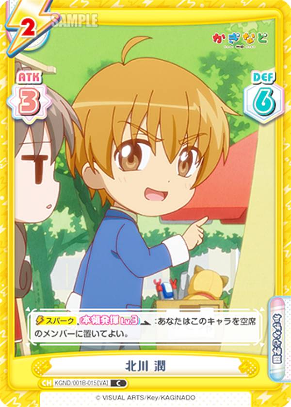 REALiZE ȥ쥫ۥӡŷԾŹ㤨ReС KGND/001B-015[VA]   (C  ֡ѥå ʤɡפβǤʤ30ߤˤʤޤ