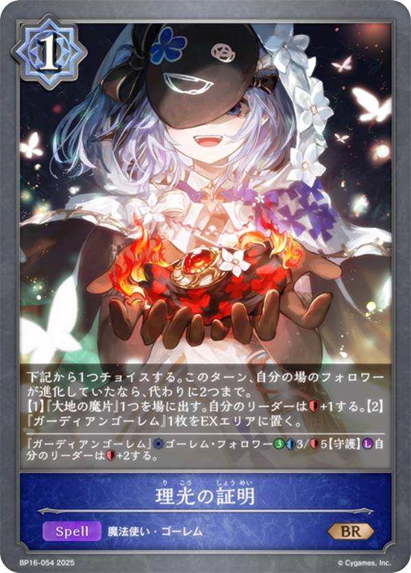 REALiZE ȥ쥫ۥӡŷԾŹ㤨֥ɥС ܥ BP16-054 ξ (BR ֥󥺥쥢 ֡ѥå16 ʤפβǤʤ30ߤˤʤޤ