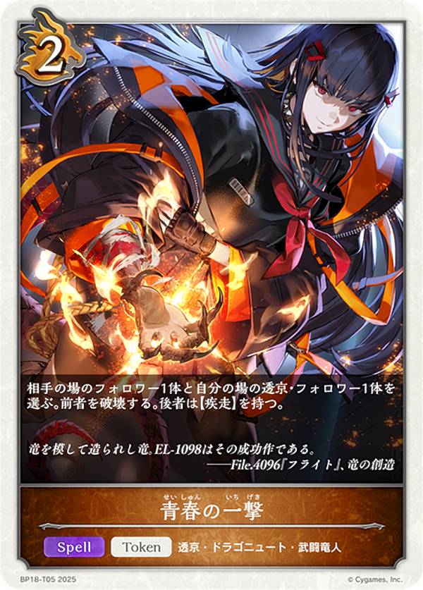 ����ɥ��С��� ���ܥ�� BP18-T05 �Ľդΰ�� (�ȡ�����) �֡��������ѥå� ��18�� �����Իԡ�Ʃ��