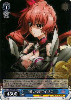  ND/W67-066 ȱͧãɥꥹ (U 󥳥) ֡ѥå ˡꥫʤΤ Detonation