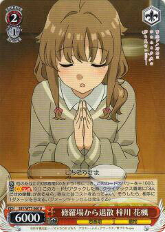  SBY/W77-060 줫໶   (U 󥳥) ֡ѥå Ľե֥ϺϤߤ뾯̴򸫤ʤ