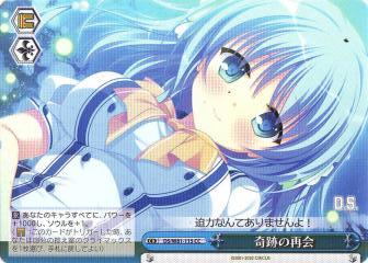 ������������������ DS/W81-115 ���פκƲ� (CC ���饤�ޥå��������) �֡��������ѥå� �������� 20th Anniversary