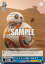  SW/S49-T11 ȥ㥯ϤءBB-8 (TD) Хå֡ / STAR WARS