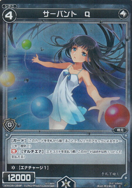 �ڥѥ���ۥ��������� WXK06-089P �����Х�� Q (C �����) WXK-P06 ���륿�ʥƥ���