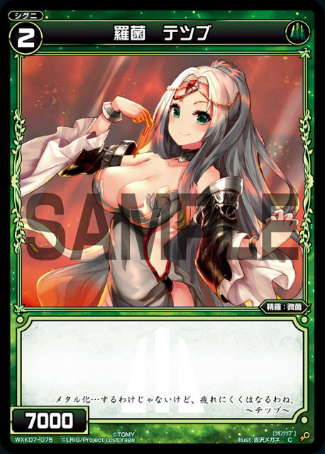  WXK07-075  ƥĥ (C ) WXK-P07 ץ