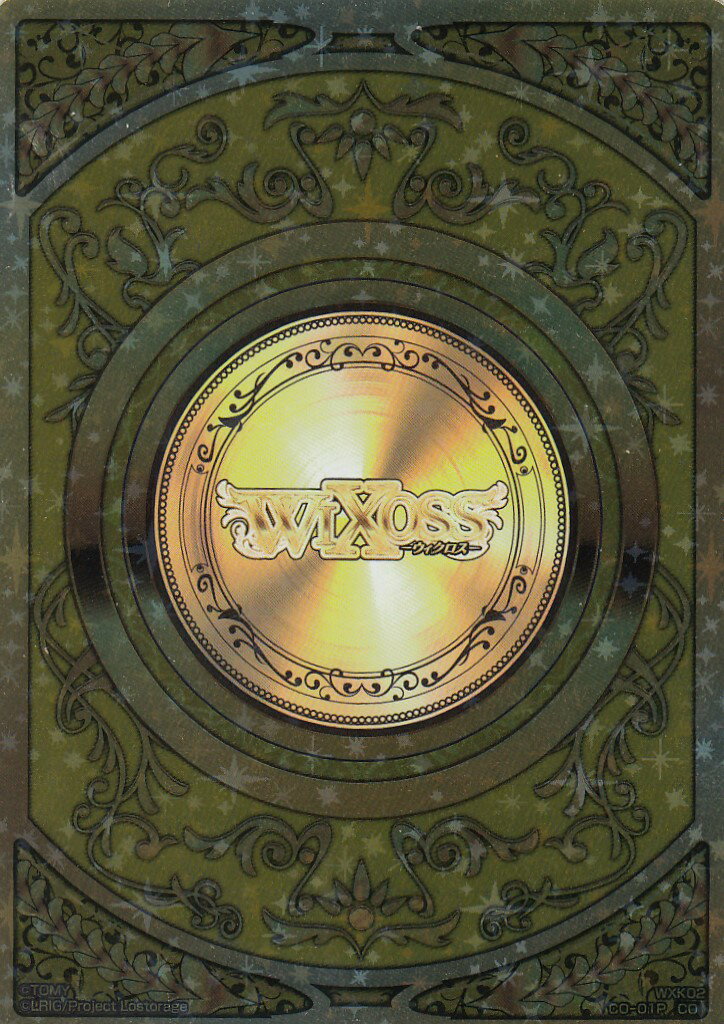  WXK02 CO-01P  (ѥ) WXK-P02 ե륹å