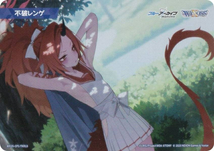  WX25-CP1-TKR13 ˥ (TK ȡ) ֡ѥå ֥롼 SELECTOR