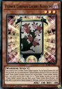 遊戯王 BLAR-EN029 花札衛－桜－ Flower Cardian Cherry Blossom (英語版 1st Edition ウルトラレア) Battles of Legend: Armageddon