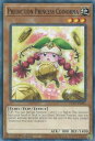 遊戯王 DLCS-EN081 占術姫コインノーマ Prediction Princess Coinorma (英語版 1st Edition ノーマル) Dragons of Legend: The Complete Series