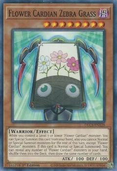 遊戯王 DLCS-EN128 花札衛-芒- Flower Cardian Zebra Grass (英語版 1st Edition ノーマル) Dragons of Legend: The Complete Series