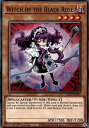 REALiZE ȥ쥫ۥӡŷԾŹ㤨ͷ LDS2-EN097 鯤 Witch of the Black Rose (Ѹ 1st Edition Ρޥ Legendary Duelists Season 2פβǤʤ30ߤˤʤޤ