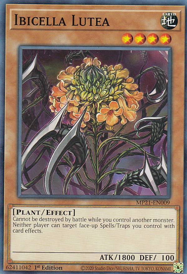 遊戯王 MP21-EN009 イビルセラ・ルテア Ibicella Lutea (英語版 1st Edition ノーマル) 2021 Tin of Ancient Battles Mega Pack