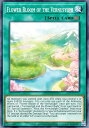 遊戯王 DABL-EN066 春化精の花盛 Vernuslyph in Full Bloom 英語版 1st Edition ノーマル Darkwing Blast