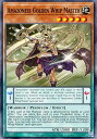 遊戯王 DABL-EN093 アマゾネスの金鞭使い Amazoness Golden Whip Master (英語版 1st Edition ノーマル) Darkwing Blast(3)