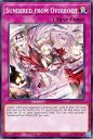 遊戯王 POTE-EN078 現世離レ Terrors of the Overroot (英語版 1st Edition ノーマル) Power of the Elements