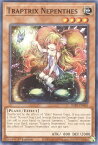 遊戯王 SDBT-EN005 カズーラの蟲惑魔 Traptrix Nepenthes (英語版 1st Edition ノーマル) Structure Deck：Beware of Traptrix