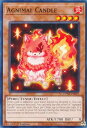 遊戯王 DUNE-EN027 火天獣-キャンドル Agnimal Candle (英語版 1st Edition ノーマル) DUELIST NEXUS