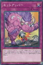 遊戯王 RIRA-JP078 セットアッパー (日本語版 ノーマル) ライジング・ランペイジ