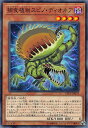 【プレイ用】 遊戯王 LVP3-JP074 捕食植物スピノ・ディオネア (日本語版 ノーマル) リンク・ヴレインズ・パック3 【中古】