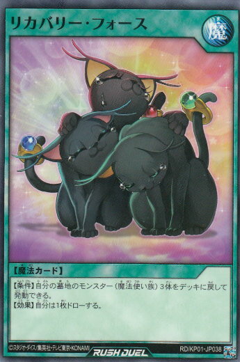 ͷ åǥ奨 RD/KP01-JP038 ꥫХ꡼ե (ܸ Ρޥ) ǥå¤ѥå Ķ®Υå!...