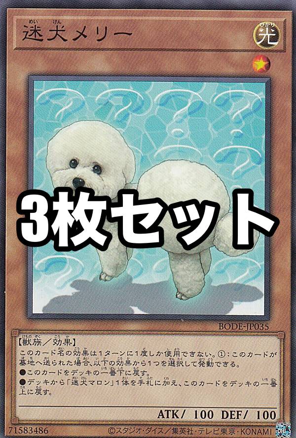 【3枚セット】遊戯王 BODE-JP035 迷犬メリー (日本語版 ノーマルレア) バースト・オブ・デスティニー