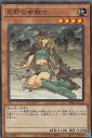 遊戯王 DR01-JPC12 荒野の女戦士 (日本語版 ノーマル) デュエルロワイヤル デッキセットEX