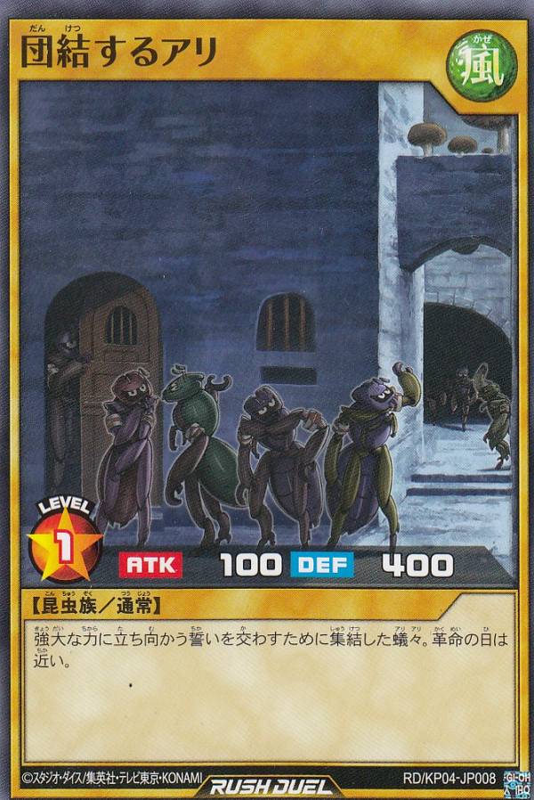 ͷ åǥ奨 RD/KP04-JP008 ķ뤹륢 (ܸ Ρޥ) ǥå¤ѥå̿Υѥǥȥ饯!!