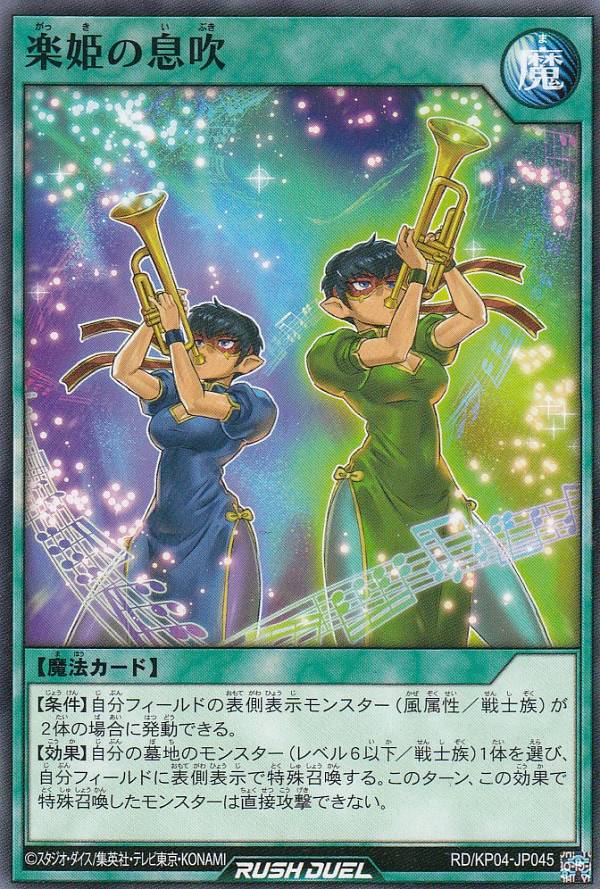 ͷ åǥ奨 RD/KP04-JP045 ɱ© (ܸ Ρޥ) ǥå¤ѥå̿Υѥǥȥ饯!!