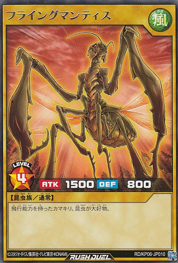 ͷ åǥ奨 RD/KP06-JP010 ե饤󥰥ޥƥ (ܸ 쥢) ǥå¤ѥåƮΥȡ!!