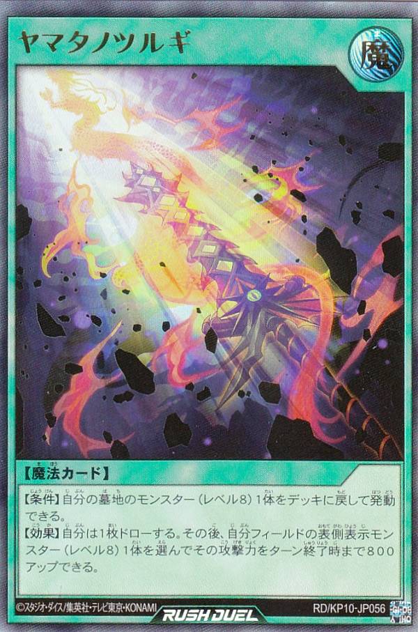 ͷ åǥ奨 RD/KP10-JP056 ޥΥĥ륮 (ܸ ȥ쥢) ǥå¤ѥåǤΥ쥯!!