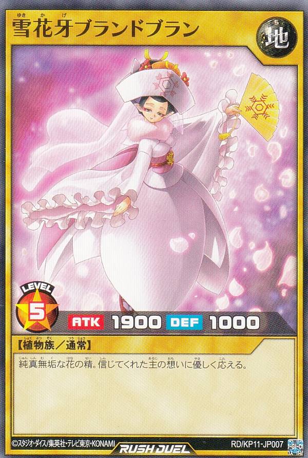 ͷ åǥ奨 RD/KP11-JP007 ֲ֥ɥ֥ (ܸ Ρޥ쥢) ǥå¤ѥå Υեƥ...