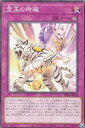 遊戯王 SD44-JP034 宝玉の玲瓏 (日本語版 ノーマル) ストラクチャーデッキ-宝玉の伝説-(3)