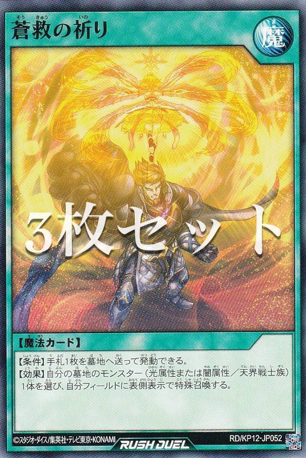 3祻åȡͷ åǥ奨 RD/KP12-JP052 ߤε (ܸ Ρޥ) ǥå¤ѥå Υ֥륹...