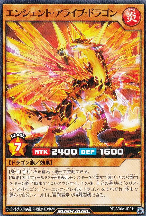 REALiZE ȥ쥫ۥӡŷԾŹ㤨ͷ åǥ奨 RD/SD0A-JP011 󥷥ȡ饤֡ɥ饴 (ܸ Ρޥ ȥ饯㡼ǥå ˤĴפβǤʤ30ߤˤʤޤ