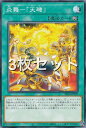 【3枚セット】遊戯王 SR14-JP029 炎舞－「天キ」 (日本語版 ノーマル) STRUCTURE DECK R － 炎王の急襲 －