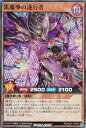 遊戯王 ラッシュデュエル RD/HC01-JP035