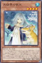 遊戯王 TW01-JP032 氷結界の依巫 (日本語版 ノーマル) ターミナル・ワールド TERMINAL WORLD