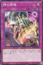 遊戯王 TW01-JP145 神の摂理 (日本語版 ノーマル) ターミナル・ワールド TERMINAL WORLD