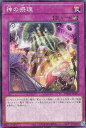 遊戯王 TW01-JP145 神の摂理 (日本語版 ノーマルパラレル) ターミナル・ワールド TERMINAL WORLD