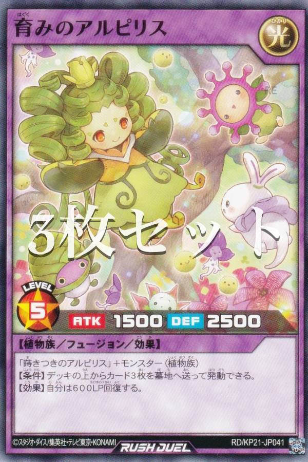 3祻åȡͷ åǥ奨 RD/KP21-JP041 ߤΥԥꥹ (ܸ Ρޥ) ʷΥ