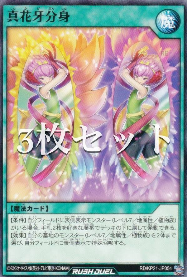 3祻åȡͷ åǥ奨 RD/KP21-JP054 ֲʬ (ܸ Ρޥ) ʷΥ