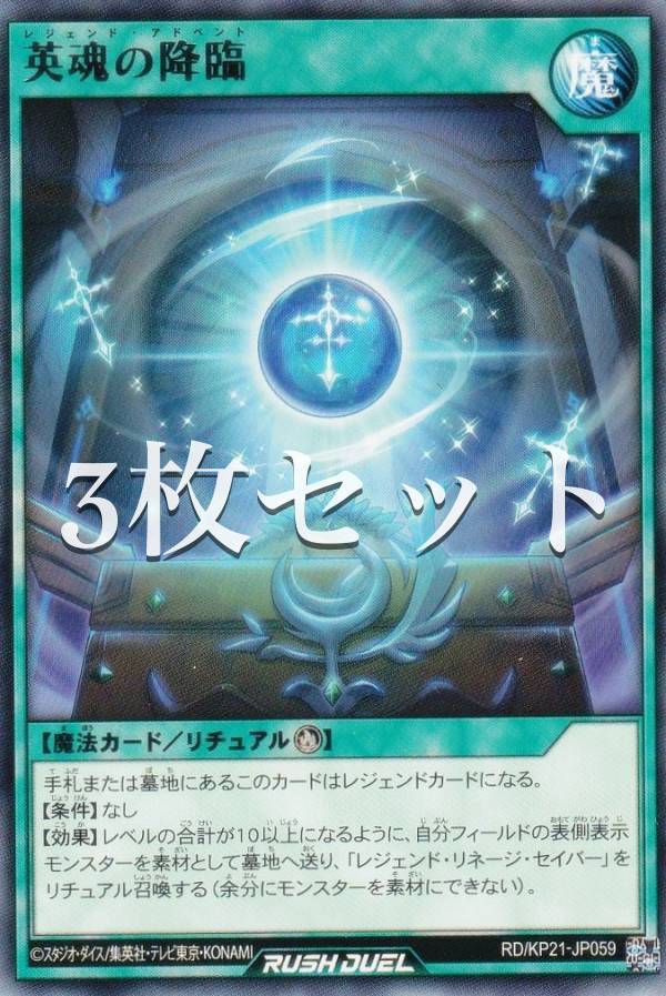 3祻åȡͷ åǥ奨 RD/KP21-JP059 ͺι (ܸ 쥢) ʷΥ
