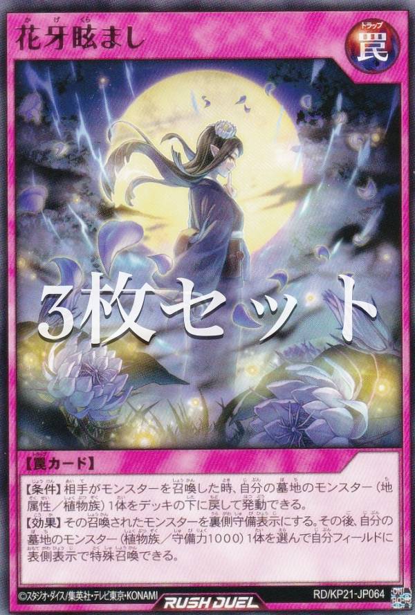 3祻åȡͷ åǥ奨 RD/KP21-JP064 ֲޤ (ܸ 쥢) ʷΥ