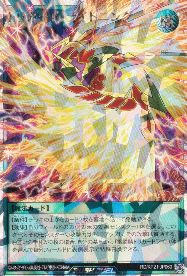 ͷ åǥ奨 RD/KP21-JP060 ȥꥬɡ饤ȥ˥ (ܸ Сå쥢) ʷΥ